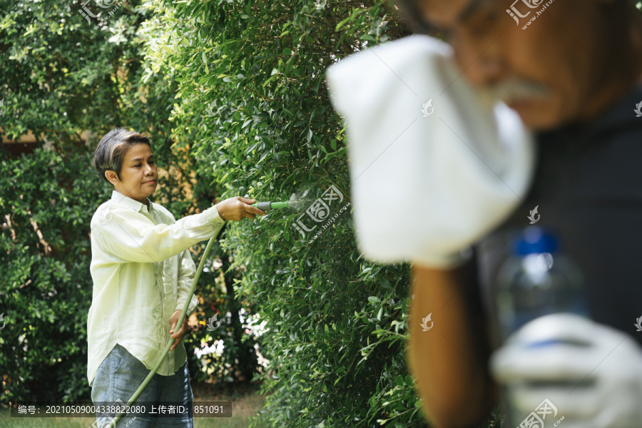 老妇人和爷爷在公园里用水管给植物浇水。