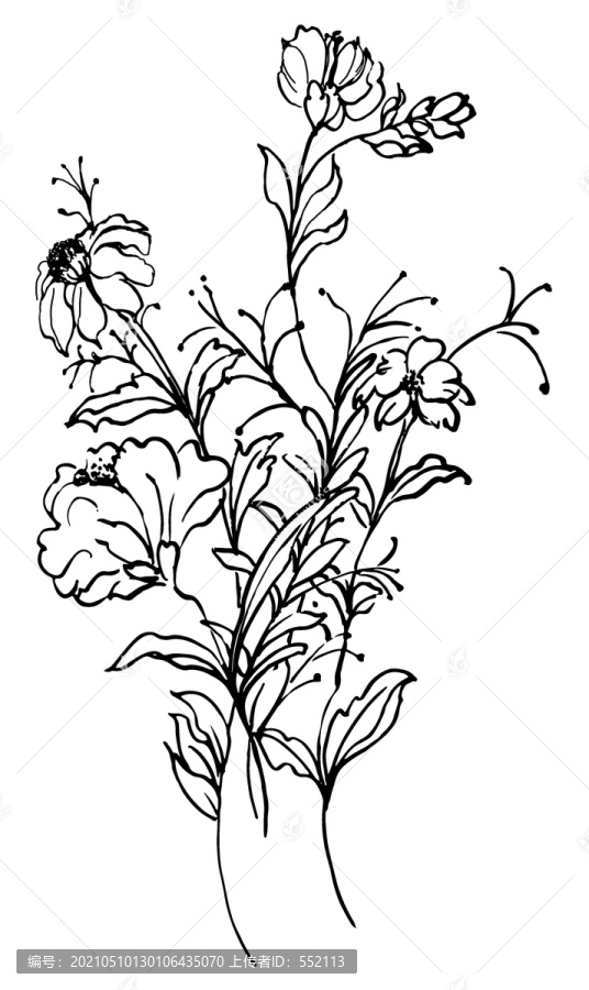 黑白白描手绘花卉
