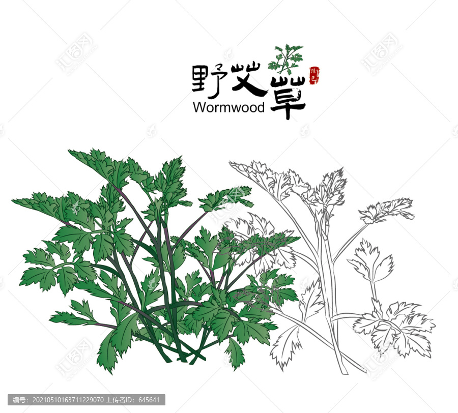 野艾草