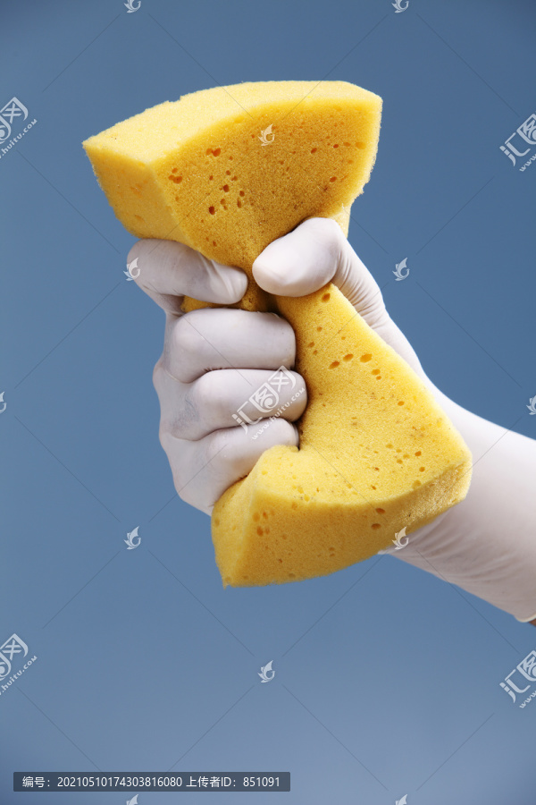 手戴白色橡胶防护手套，手拿黄色海绵。