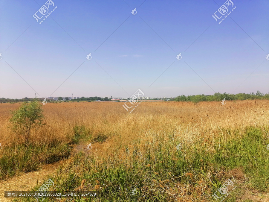 滹沱河生态湿地