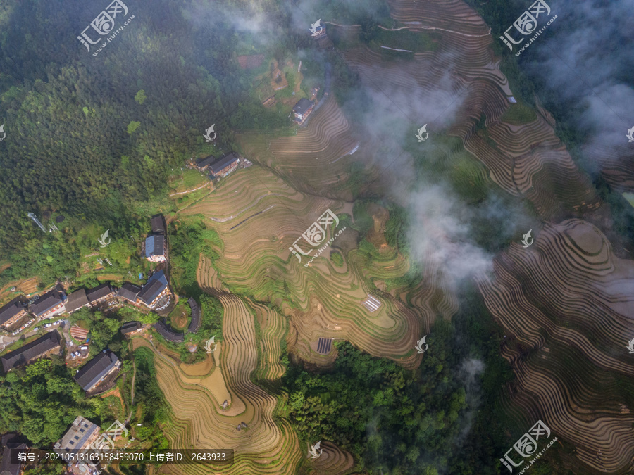 龙脊梯田灌水时景色