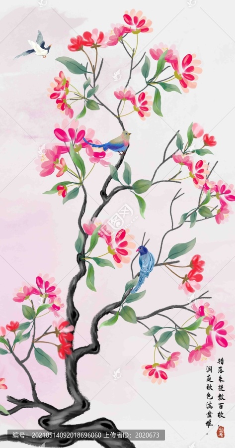 玄關(guān)海棠花