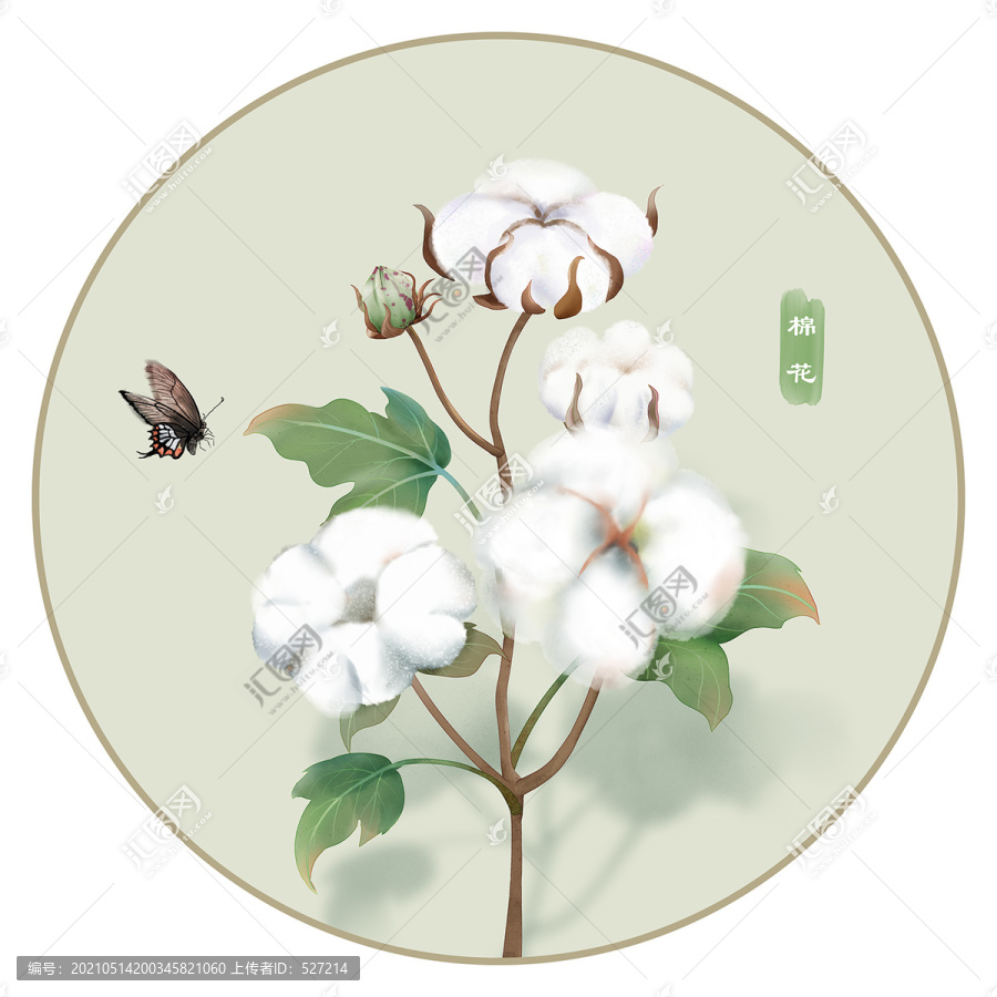 棉花