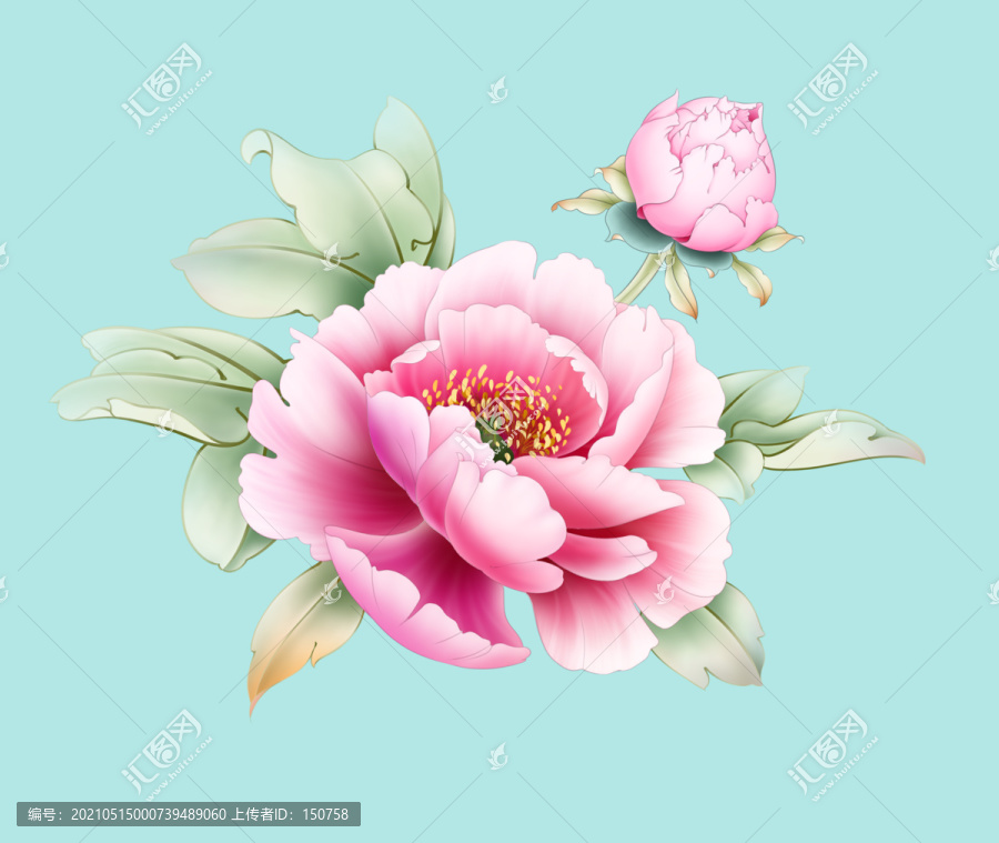 牡丹花