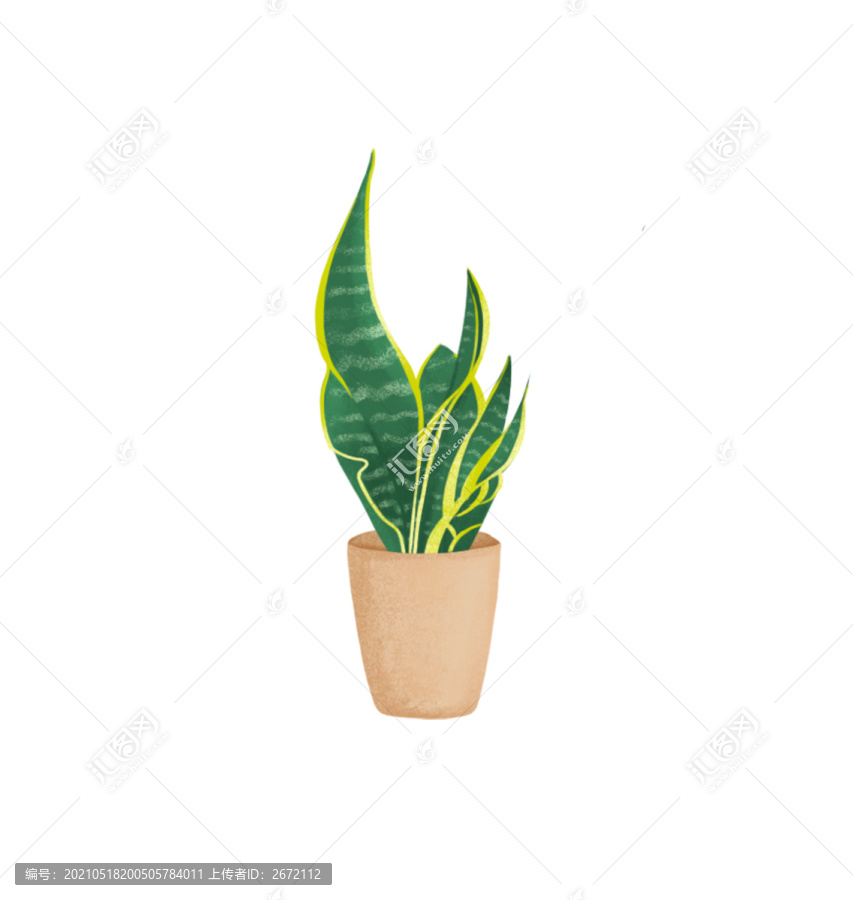 手繪盆栽插畫