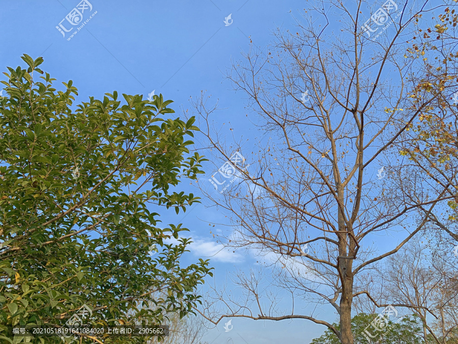 晴空