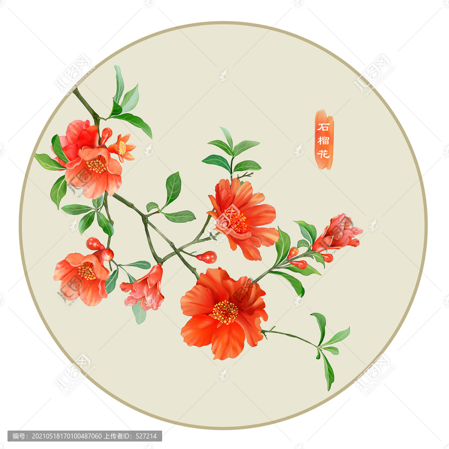 石榴花
