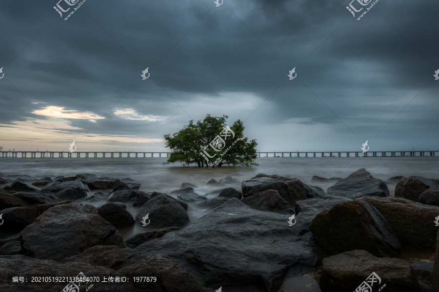 深圳西湾红树林风景