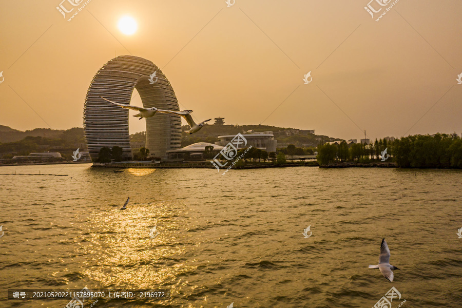 日落时海鸥飞过月亮酒店美景