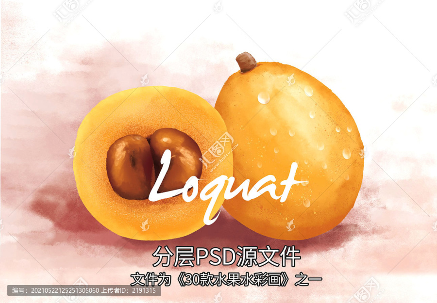 枇杷水彩畫