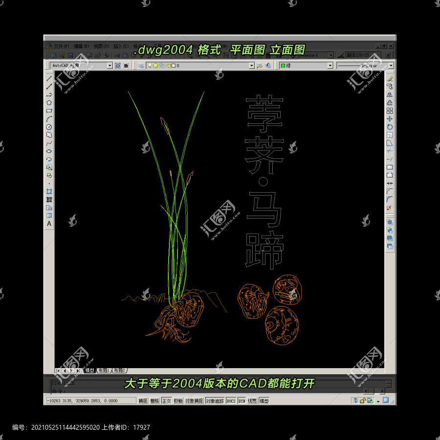 荸荠CAD矢量图