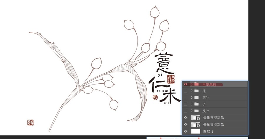 薏仁米