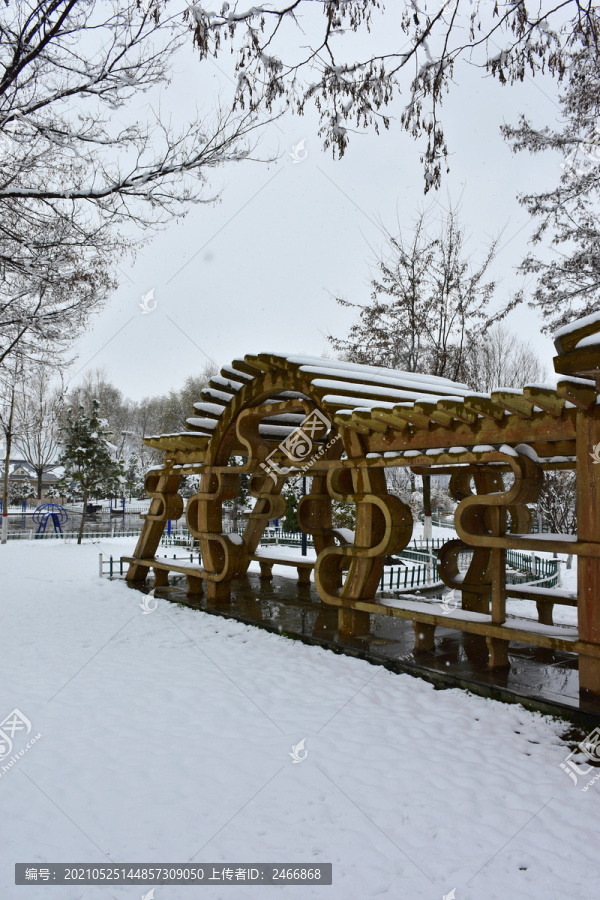 公园雪景