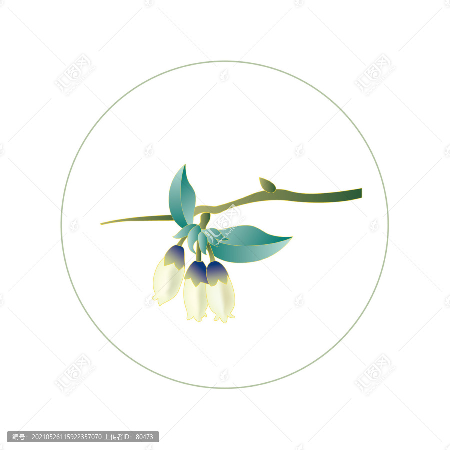 矢量藍(lán)莓花