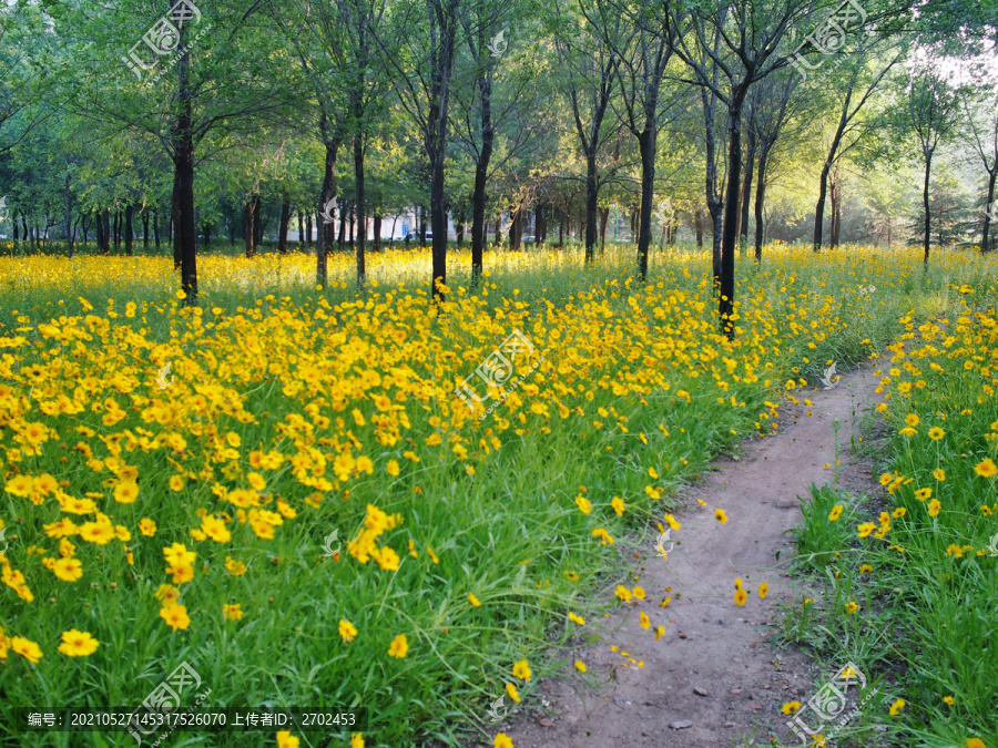 花间小道