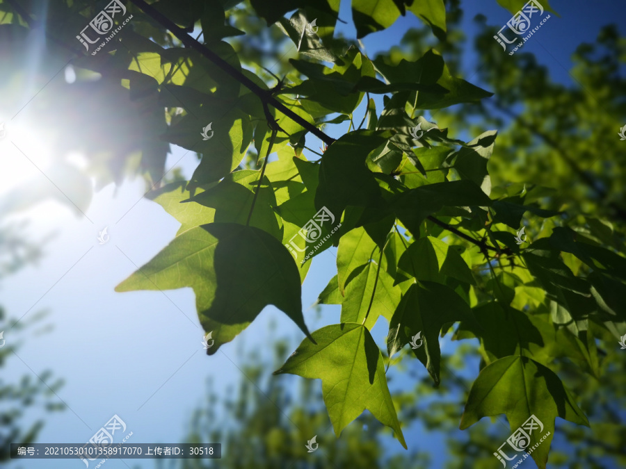 夏日惠州