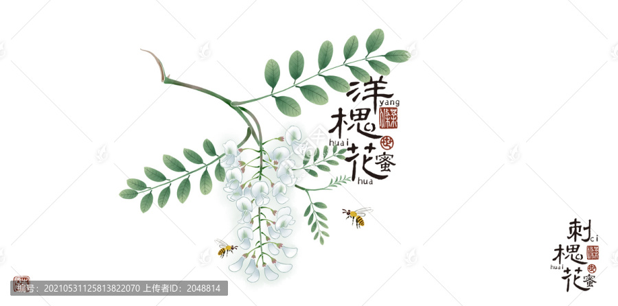 刺槐