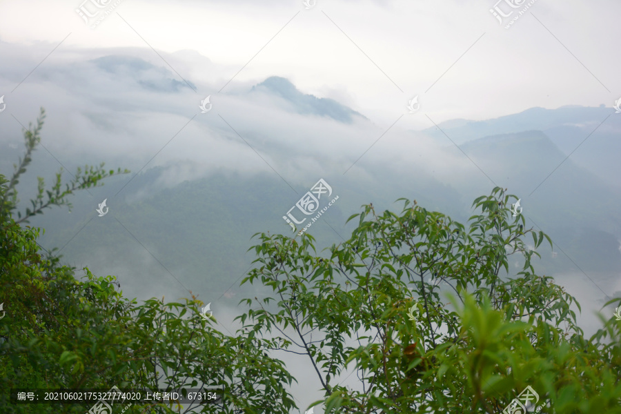 高山云雾