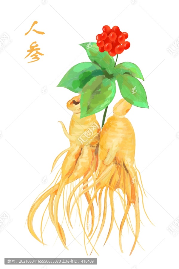 人參