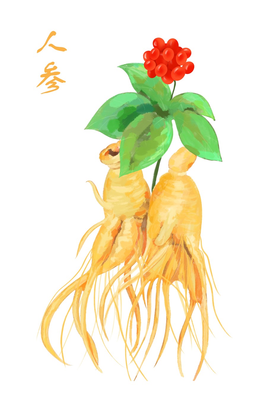 人參