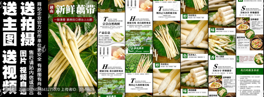 新鮮藕帶詳情