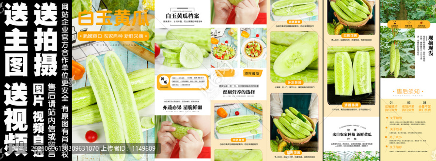 白玉黃瓜詳情