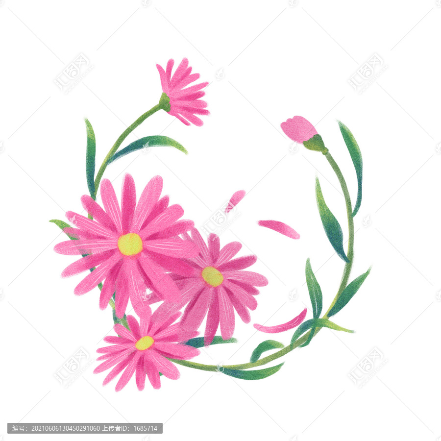 雛菊
