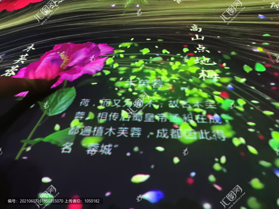 上海花博会世纪馆东馆