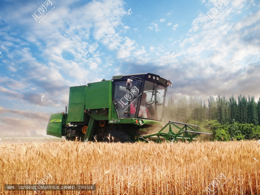 小麦收获
