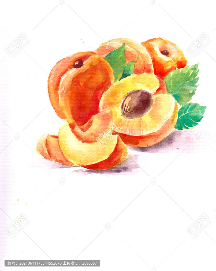 水果水彩手绘