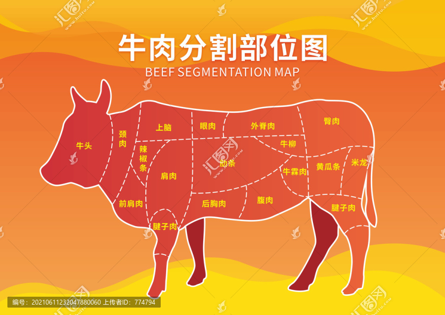 牛肉分割部位圖
