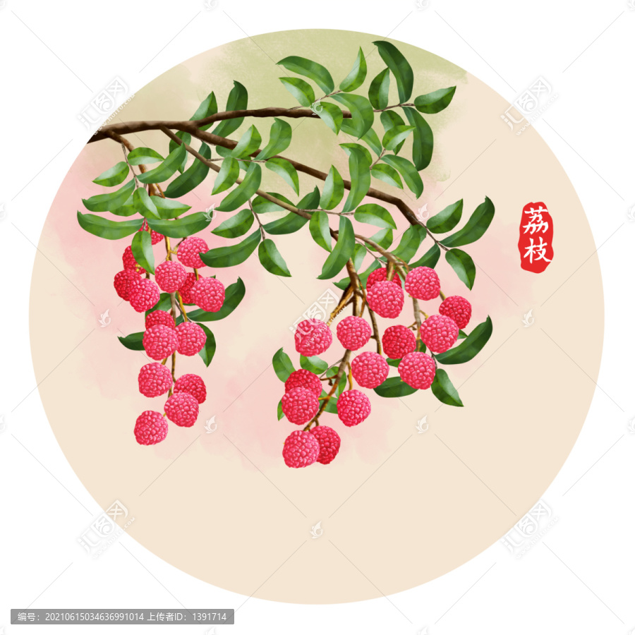 手繪荔枝圖