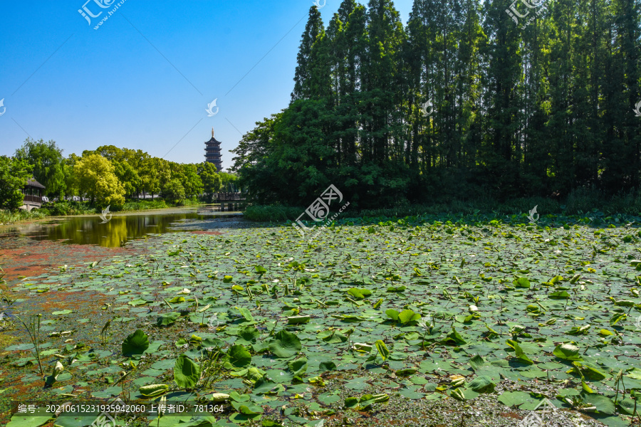 泰州凤城河