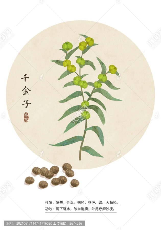 千金子