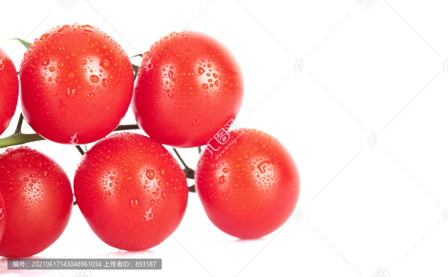 特写带水珠的西红柿