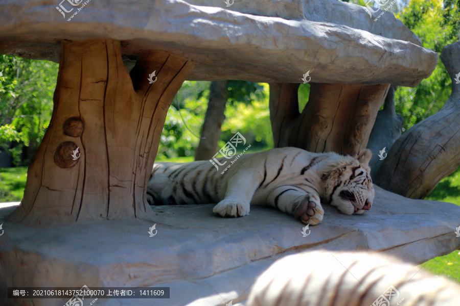北京大興野生動物園
