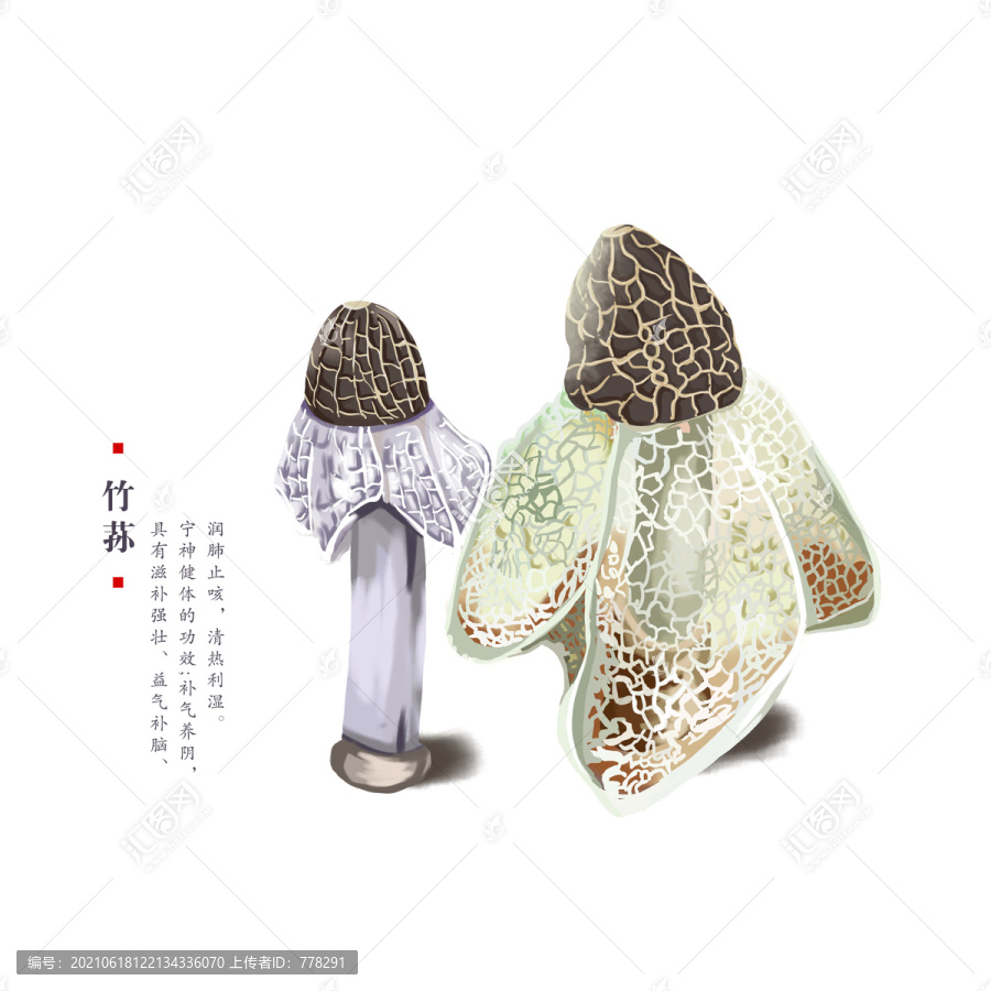 竹蓀