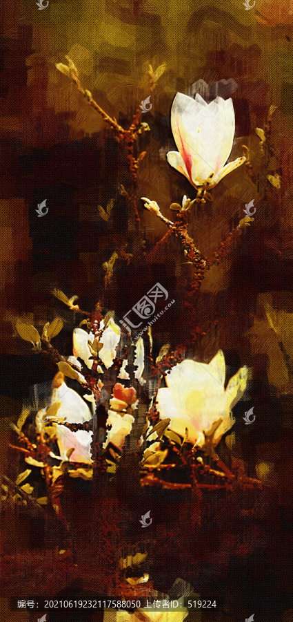 玉蘭花油畫(huà)
