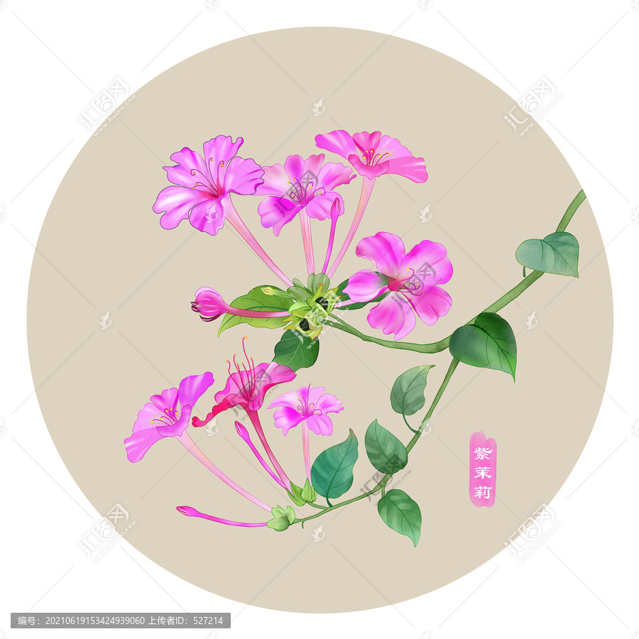 紫茉莉