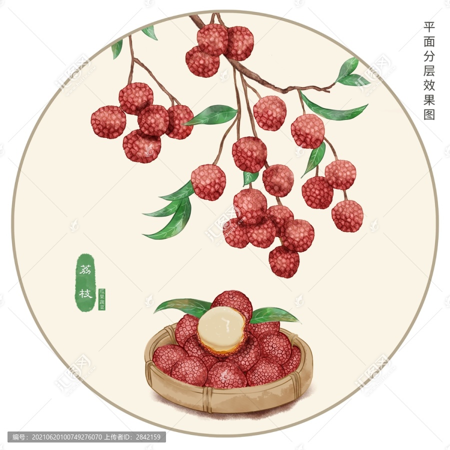 荔枝手繪插畫(huà)