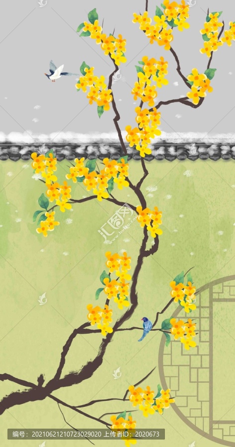 桂花插畫