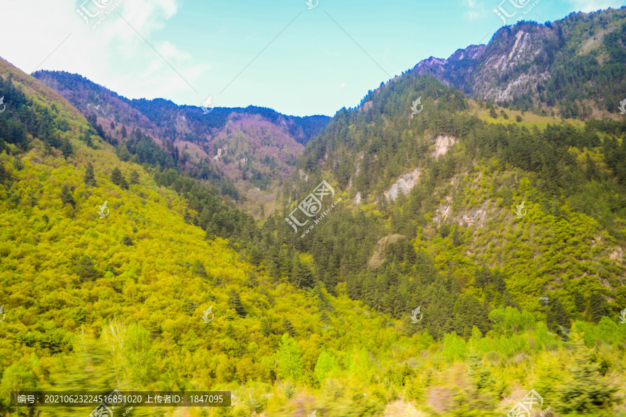 九寨沟原始森林