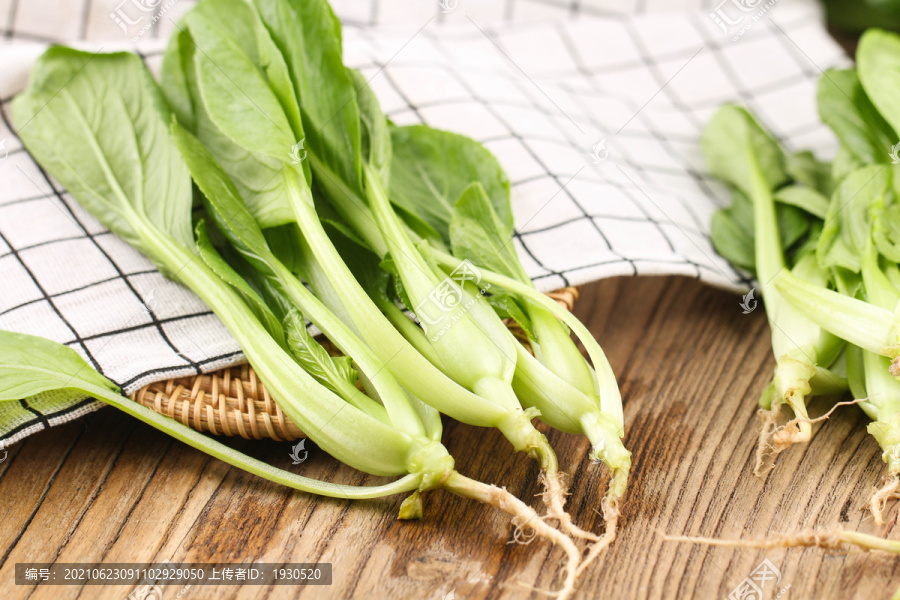 鸡毛菜