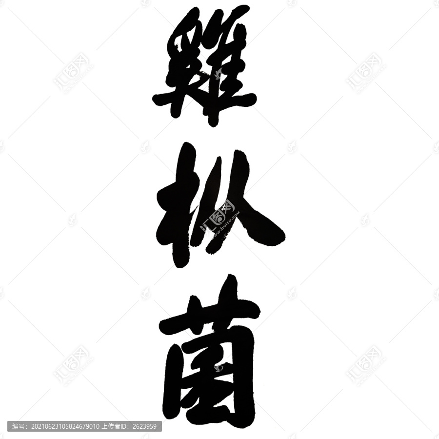 雞樅菌