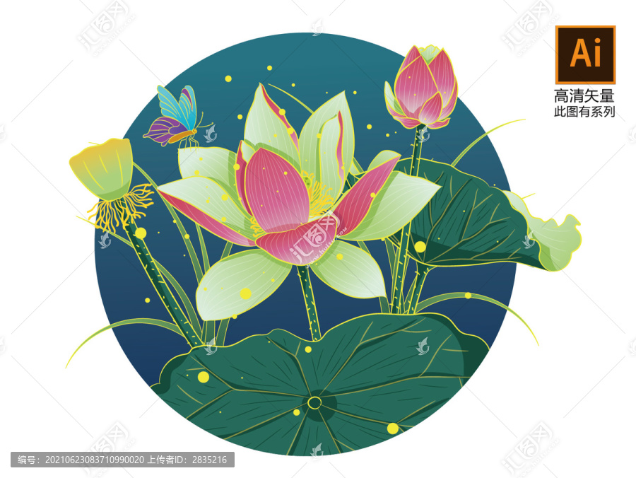 荷花