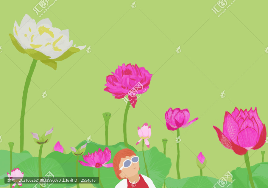 荷花