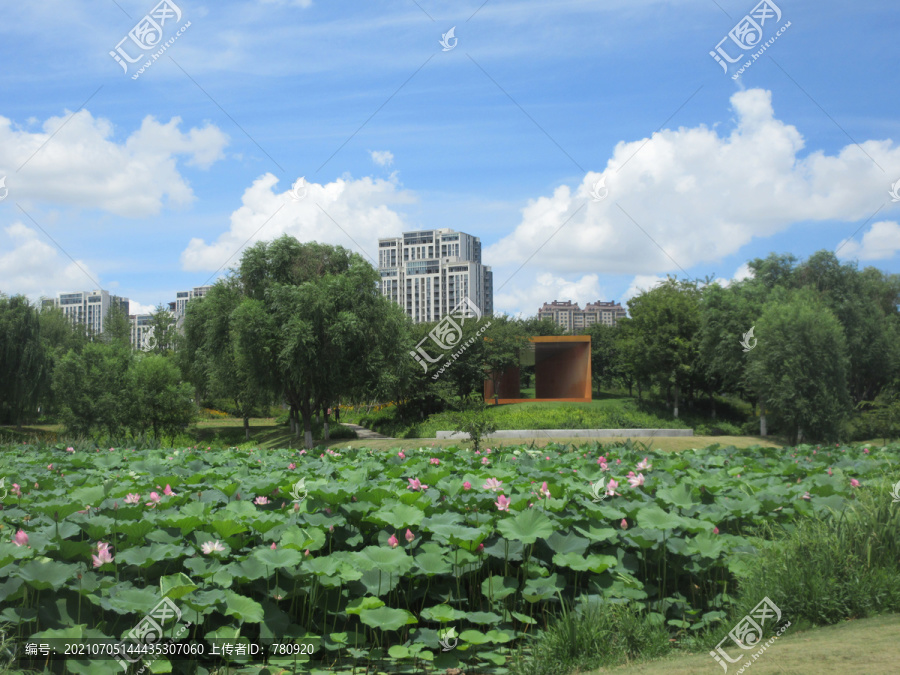 康平湖公园