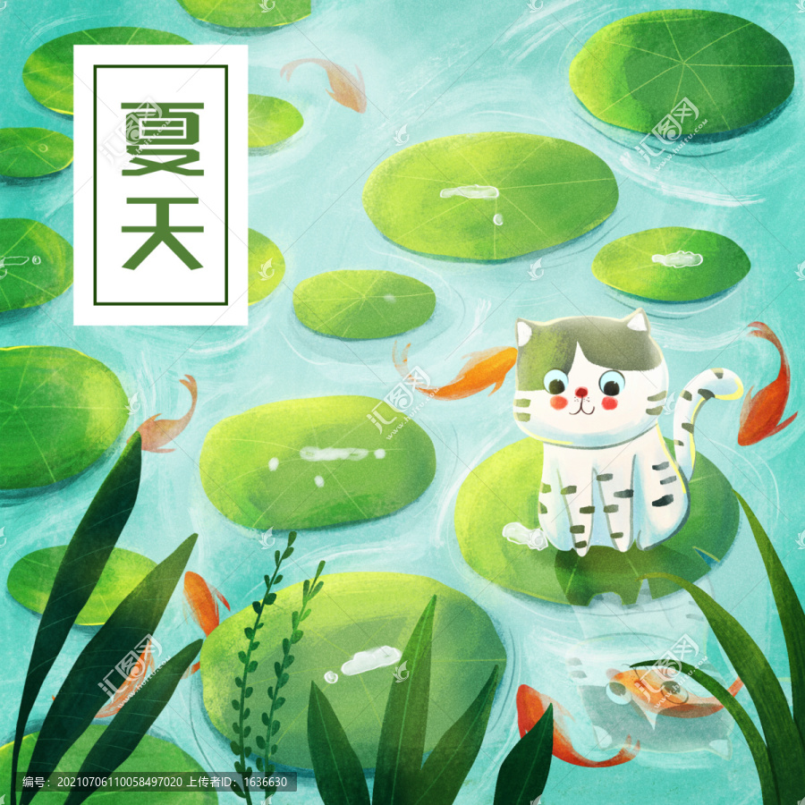 夏天貓捉魚