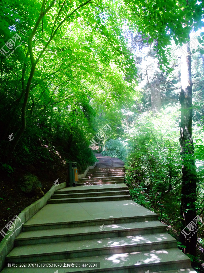 登山步道